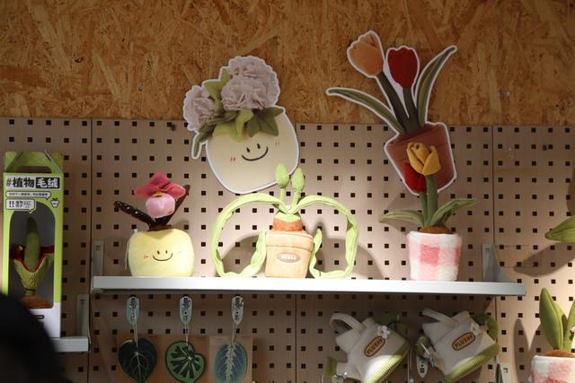 新 “镇园之宝千岁兰”造型既独特又可爱CQ9电子登录国家植物园文创秋季新品上(图2)