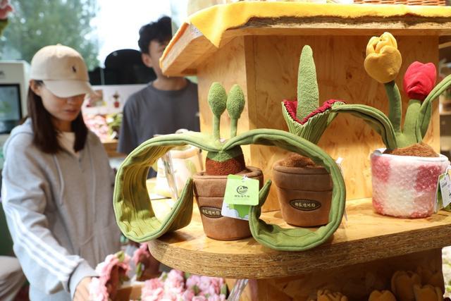 新 “镇园之宝千岁兰”造型既独特又可爱CQ9电子登录国家植物园文创秋季新品上(图1)